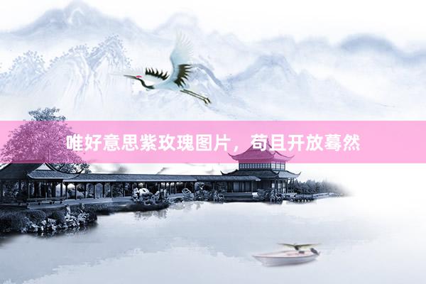 唯好意思紫玫瑰图片，苟且开放蓦然