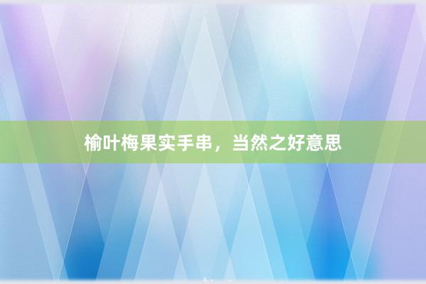 榆叶梅果实手串，当然之好意思