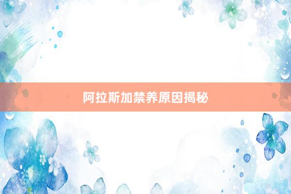 阿拉斯加禁养原因揭秘