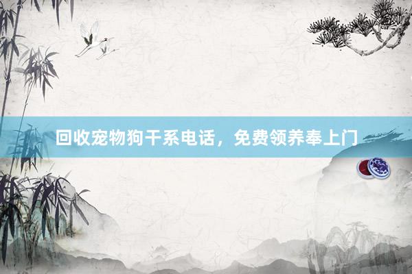 回收宠物狗干系电话,免费领养奉上门