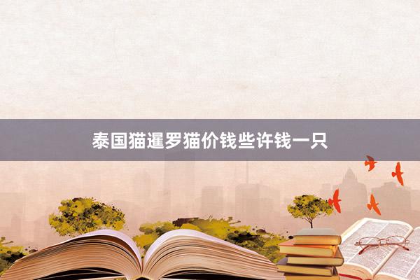 泰国猫暹罗猫价钱些许钱一只